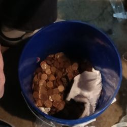 Bucket Of Wheat Pennies 