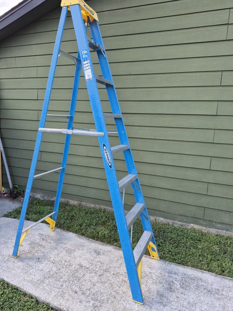 Werner 8ft Ladder