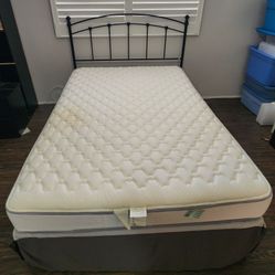 Queen Bed