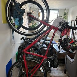 Bike    Mountain/ Or Hybrid 