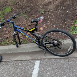 Specialized Endro FSR