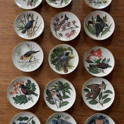 Decretive Bird Plates (Franklin porcelain)
