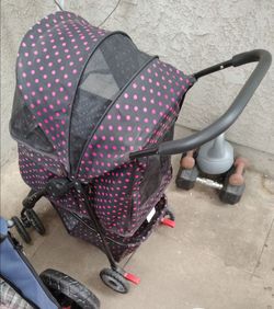 Stroller for regular sized dog