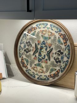 Large Framed Butterfly Print