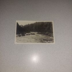 EXTREMELY RARE VINTAGE 1950'S GORGE RIPEDENLEDA UNUSED POSTCARD