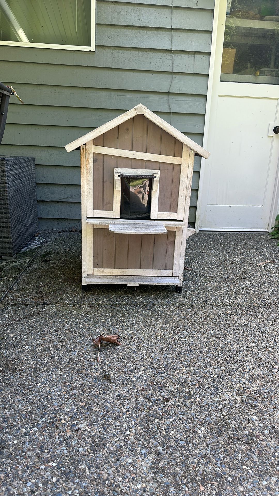 Outside Cat House