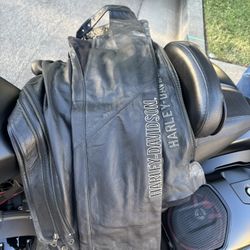 Harley Davidson Chaps