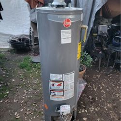 Rheem
Performance 40 Gal. Tall 38,000 BTU Ultra Low NOx Natural Gas Water Heater