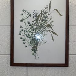 Botanical Picture