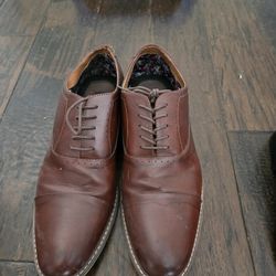 Steve Madden Brown Shoes. Size 12.