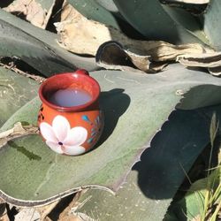 Pulk-y Jugo De Maguey