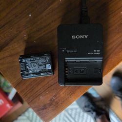 Sony Mirrorless Camera Battery Charger - $100 (obo/Culebra-1604)