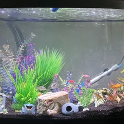 46 Gallons Aquarium (Fish Tank)