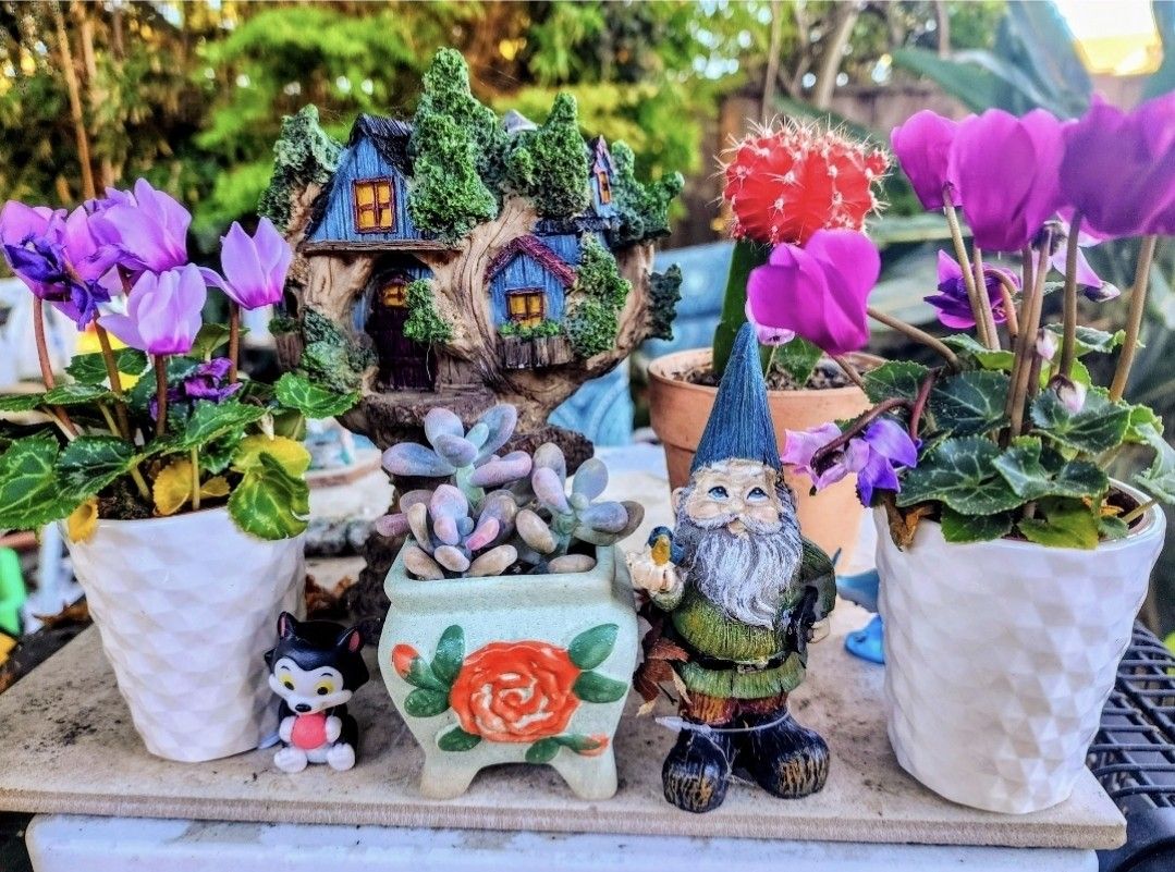 PLANT SALE SATURDAY IN SAN LORENZO. DM FOR APPT PLEASE