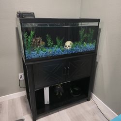 Complete Set Up! 40gallon Aquarium W/stand