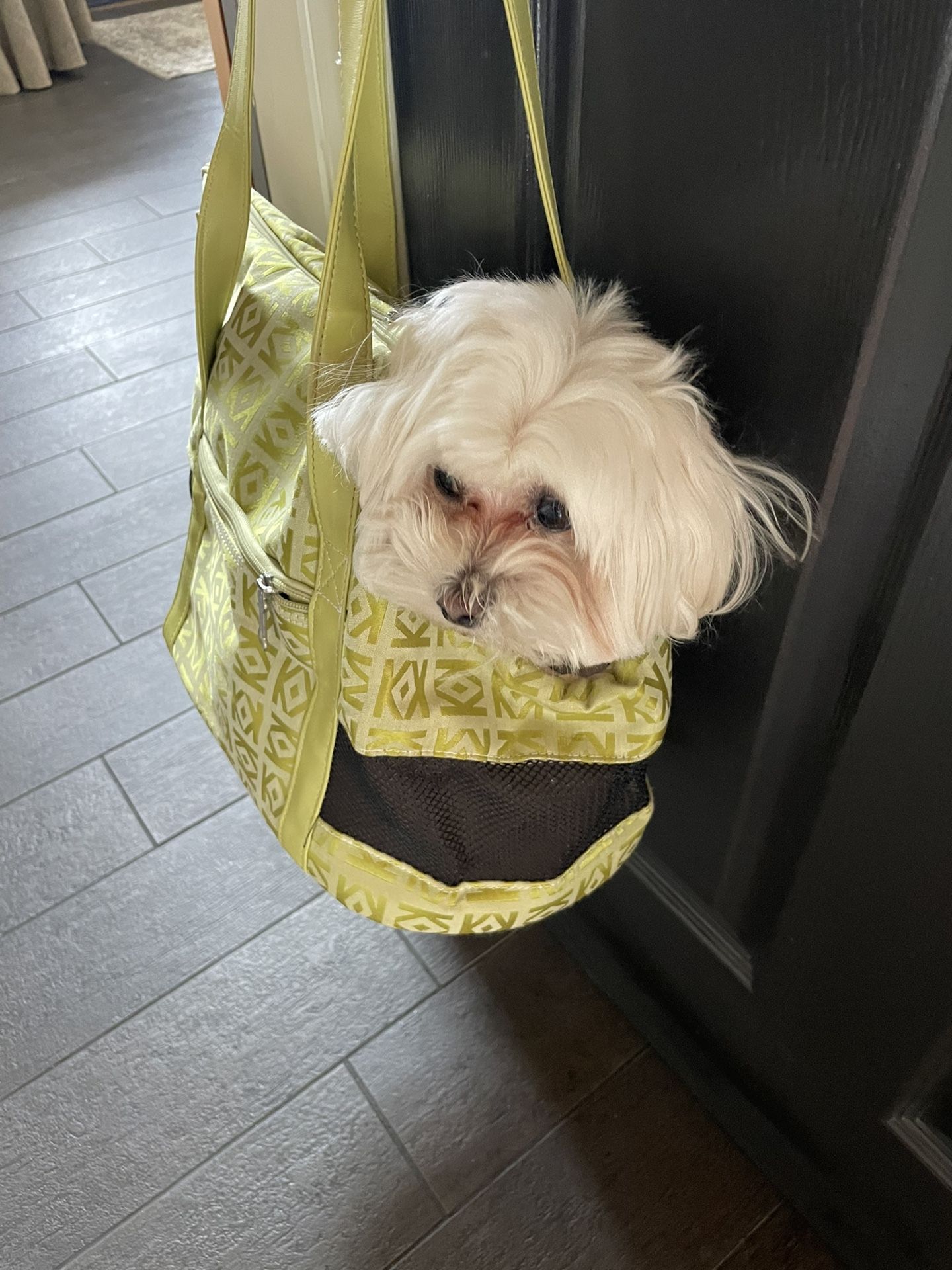 Stylish pet bag. 19 x 9 x 11 H
