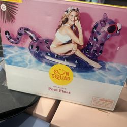 Pool Float