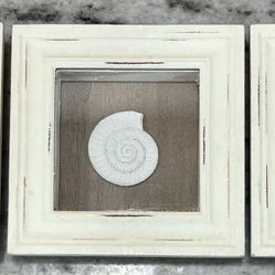 Beach Shadow Box Pictures 