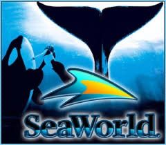 ππ¬ X12 ποΈ SEAWORLD SAN DIEGO! ππ΄