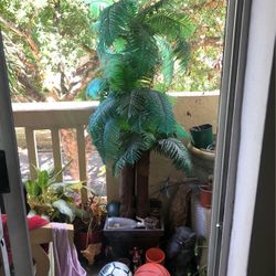 Palm Tree Decor