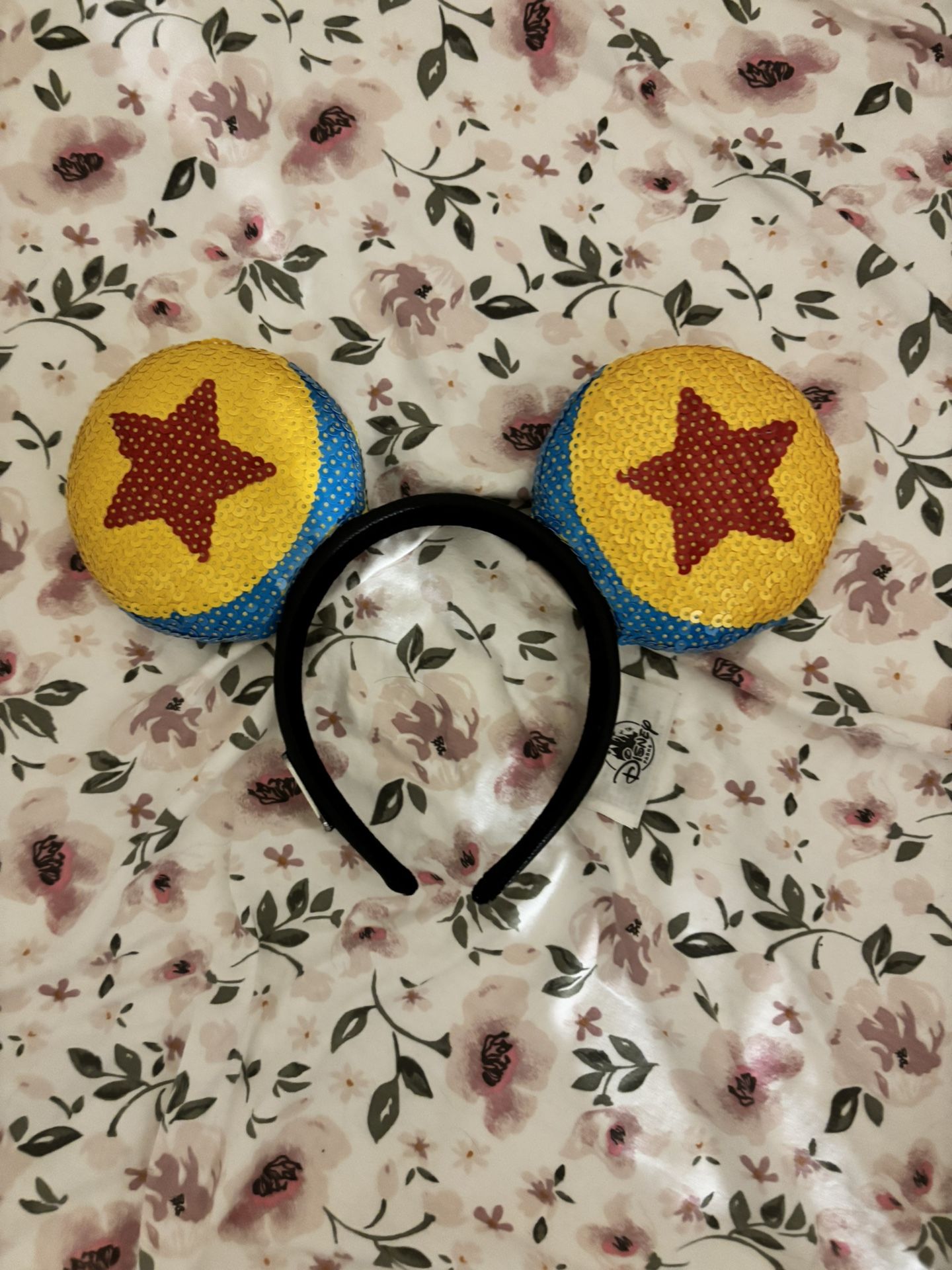 Disney Ears