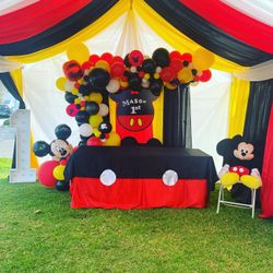 mickey mouse backdrop
