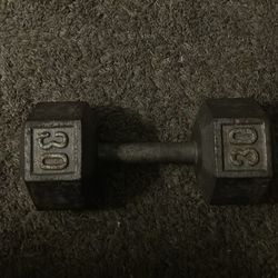 30lb iron dumbell