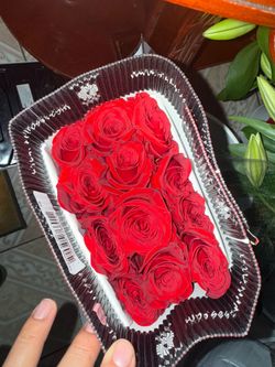 Roses