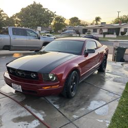 2008 Ford Mustang