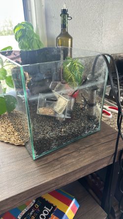 Fish tank
