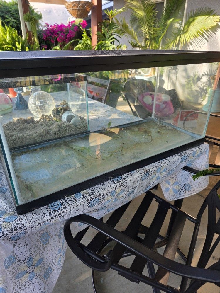 Aquarium