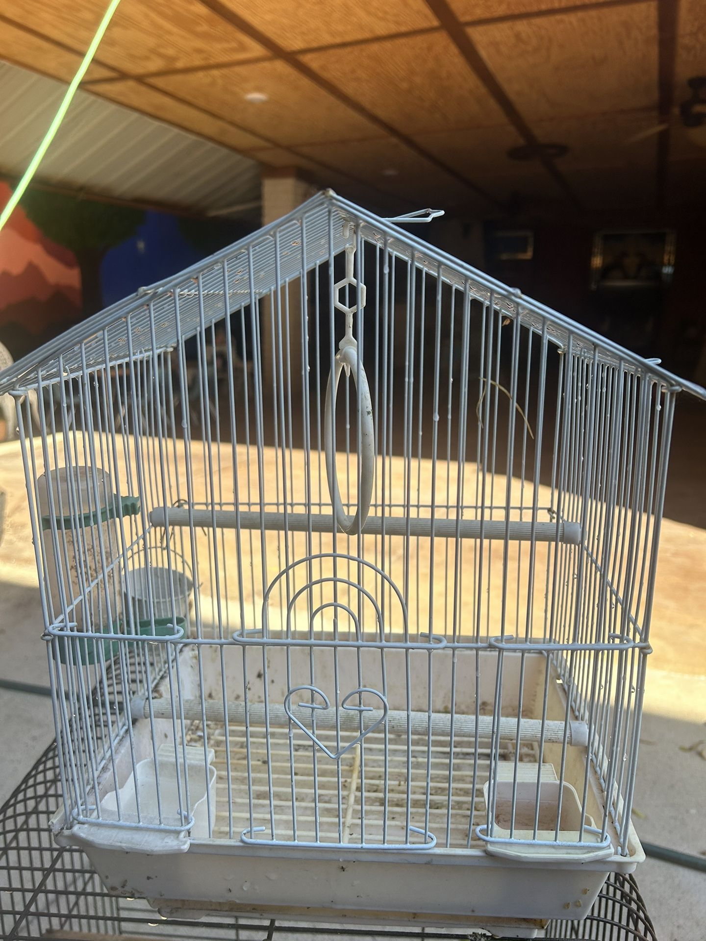 Bird Cage