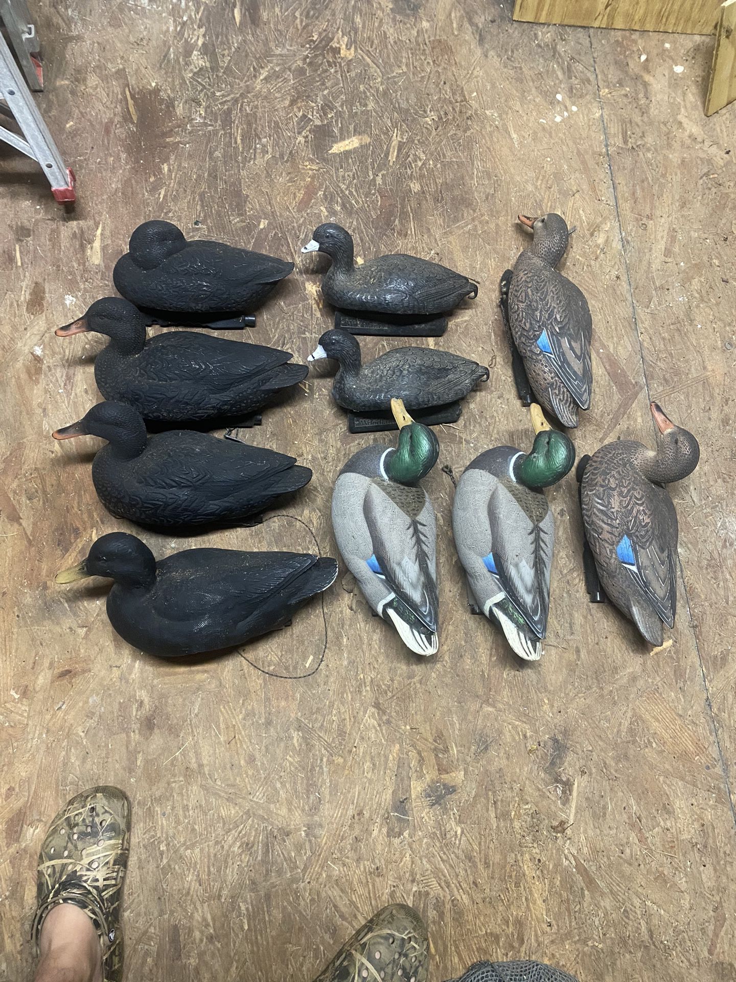 Duck Decoys For Sale 