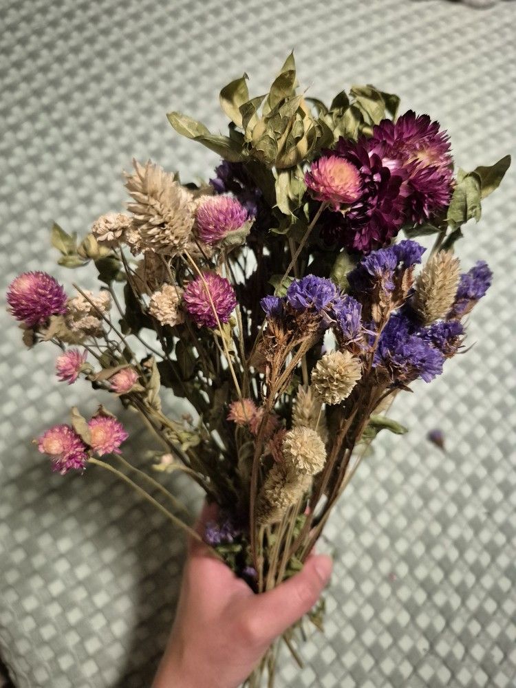 Dried Flowers