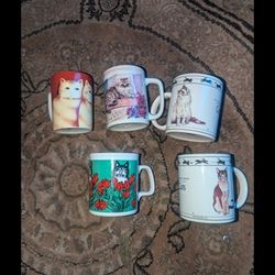 FOR THE KITTY LOVERS 