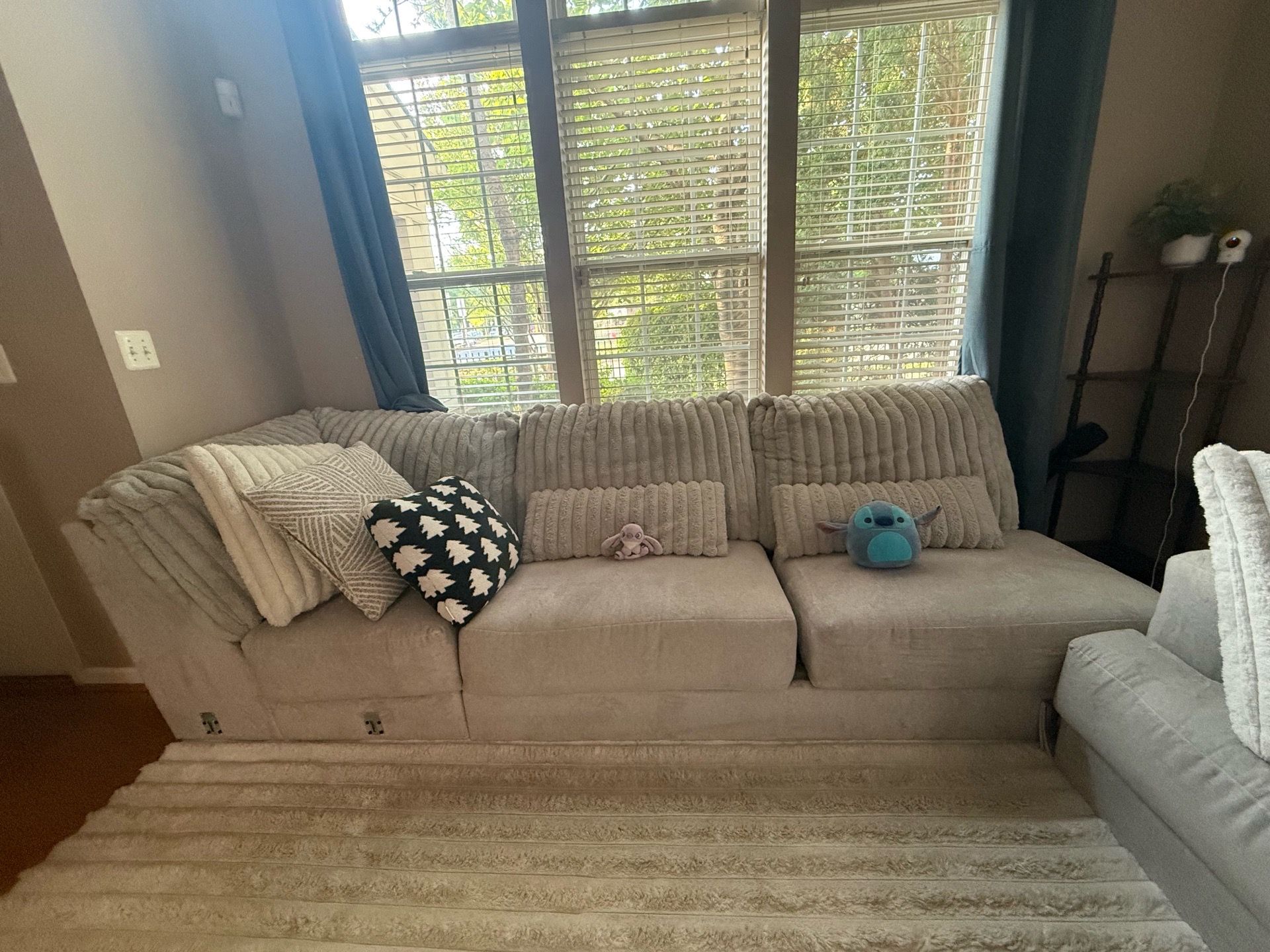 Sectional Couch