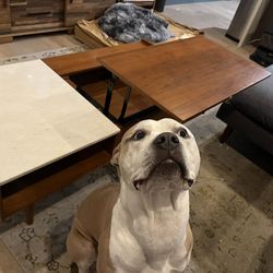 West Elm Mid-Century Pop-Up Storage Coffee Table — Walnut + White Marble
