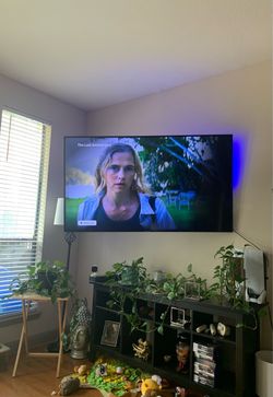 65 inch tv