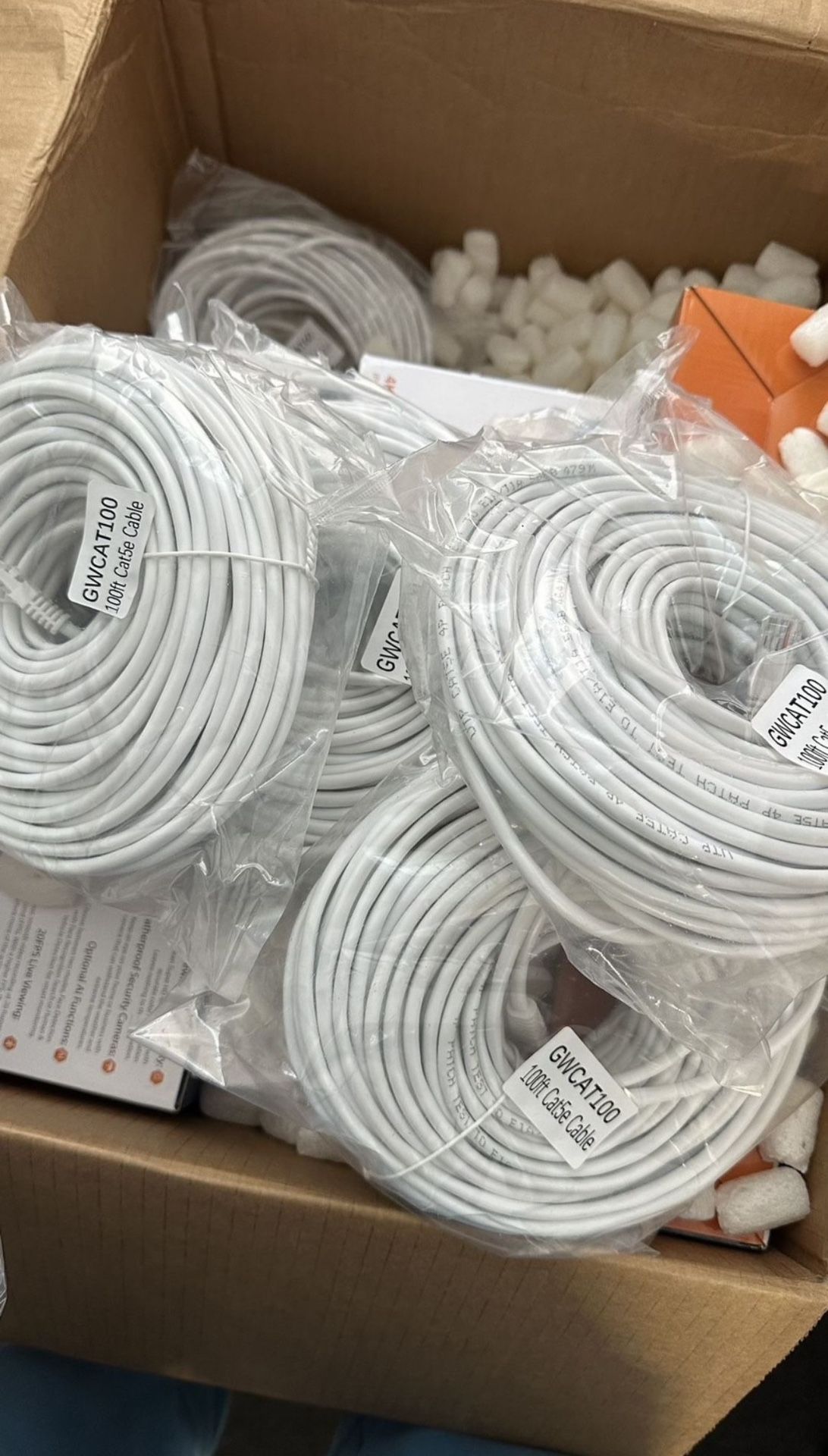 Cat 5 Cable 100 Ft