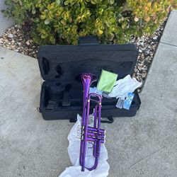Purple Trumpet o $185 Bb New