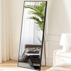 Full Length Mirror 64"x21" 