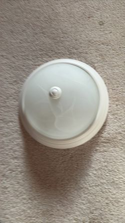 $10 new ceiling light in the box.