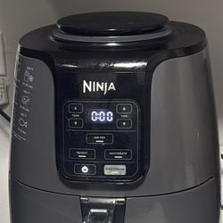 Microwave/ Air flyer 