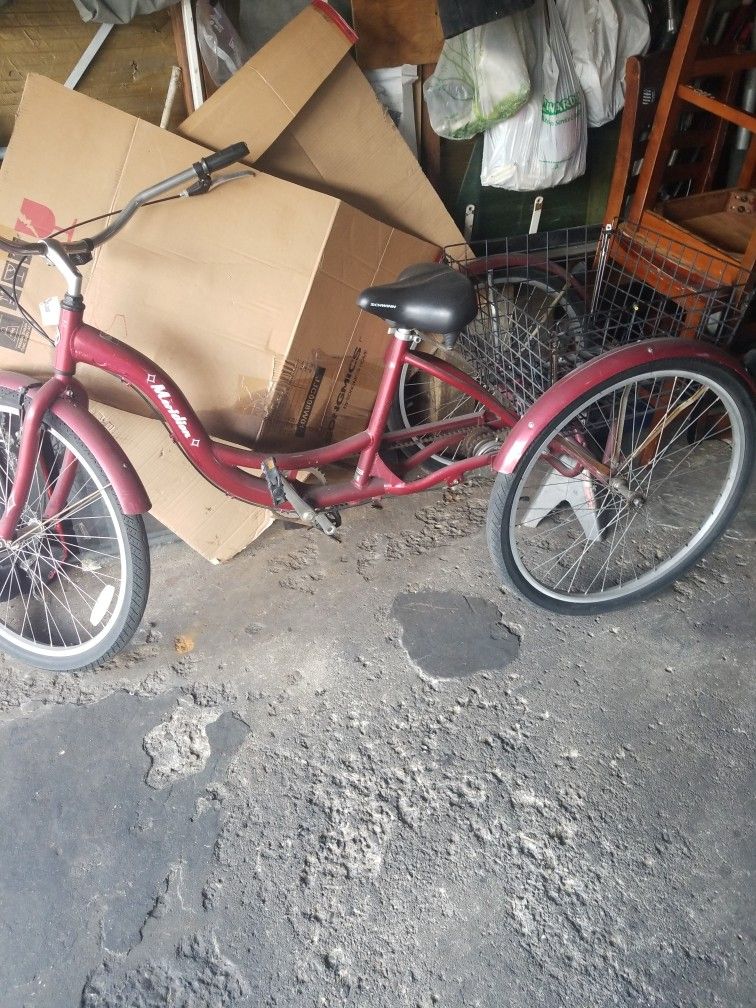 Trike 26"