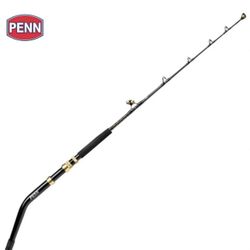Fishing Rod Penn