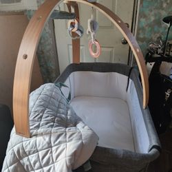 Ingenuity Baby Activity Gym