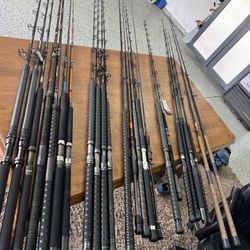 Saltwater Fishing Rods 