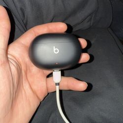 Ear Buds 