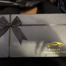 Silver License Plate Frame 