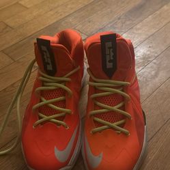 Lebrons Size 6.5